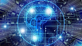 Human_Brain